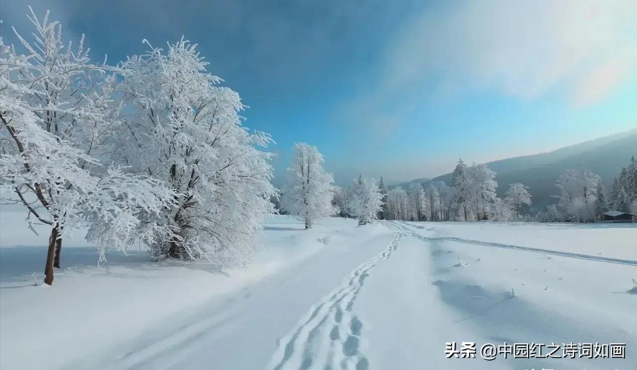 一念冬安、静待雪花飘