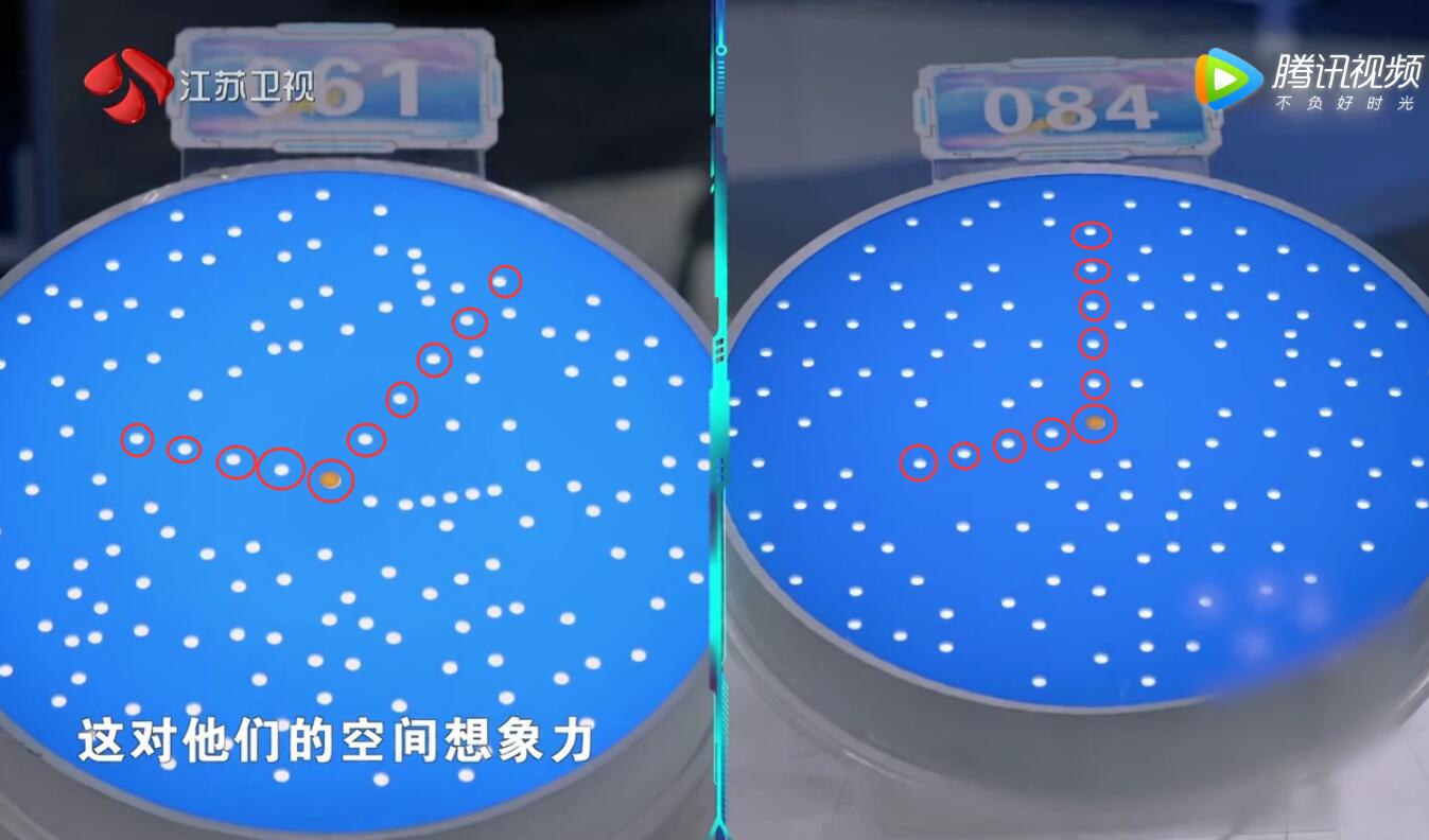 《最强大脑》项目难度又翻车，观众一眼看出答案，选手却满头大汗