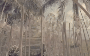 Rectify a face to die to leave in 25 years old however on the Lin Shanshan that protects Shi Jie, 