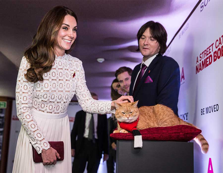 敬业的凯特工作中有趣、感人、甚至尴尬的瞬间