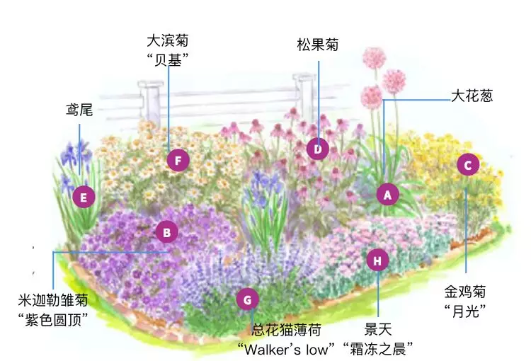 如沐自然的三季花境营造