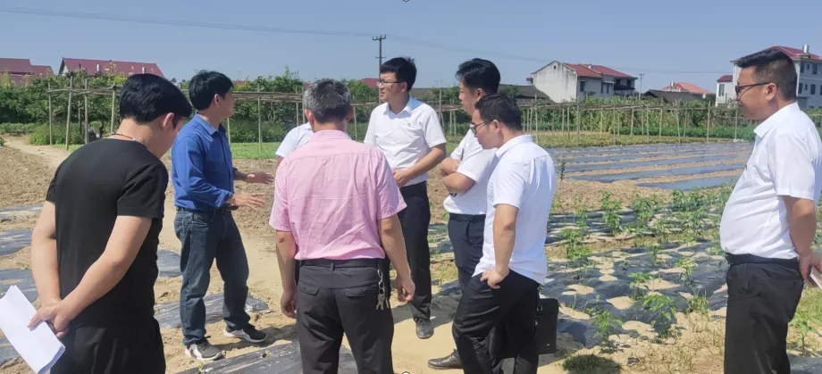 科学驱赶鸟兽，喜迎提效增产——辰溪装粮埠村乡村振兴工作队在党史教育活动中切实为民办实事