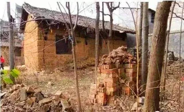 新中国第一刑事大案：龙治民在家连杀48人！