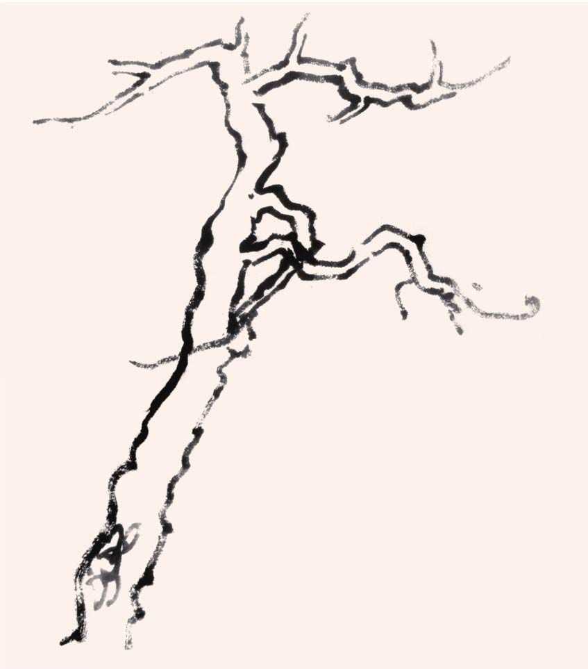 零基础国画教程：分步骤图解教你画3种常见树画法，简单易学