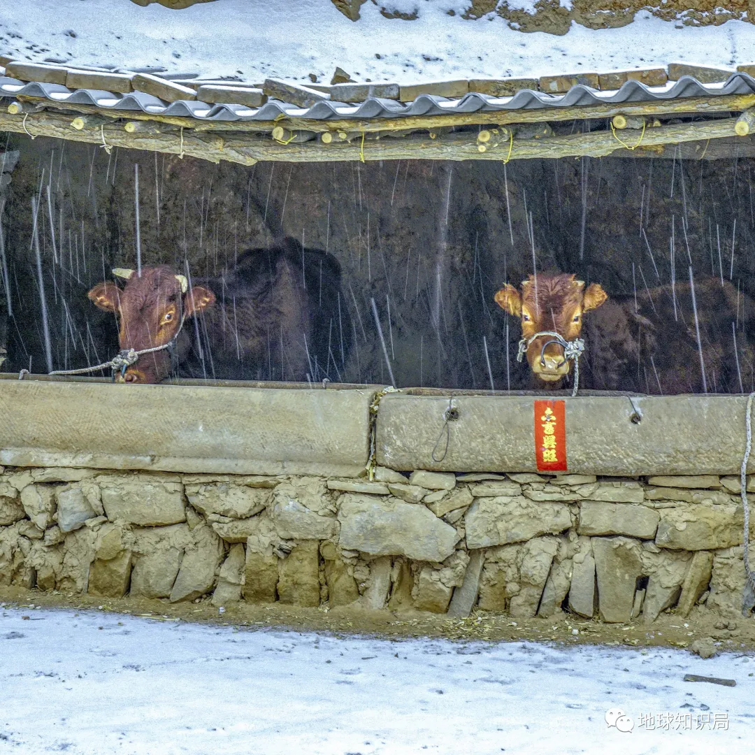 漢朝如何管理歸附匈奴 | 地球知識(shí)局