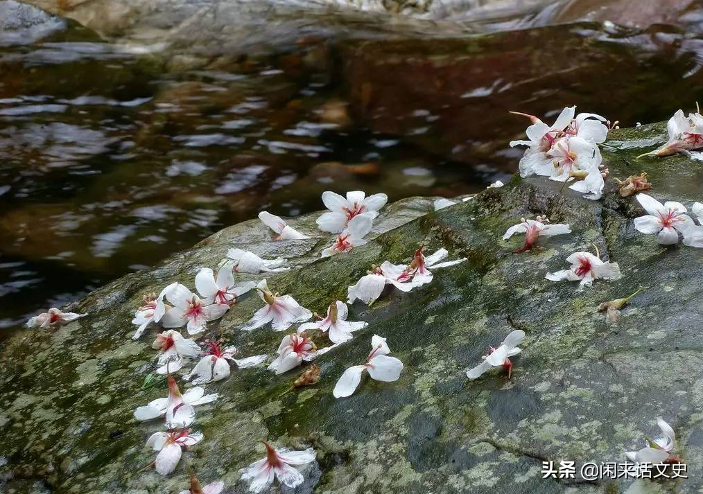 崔涂的这首千古佳作，情真意挚-第2张图片-诗句网