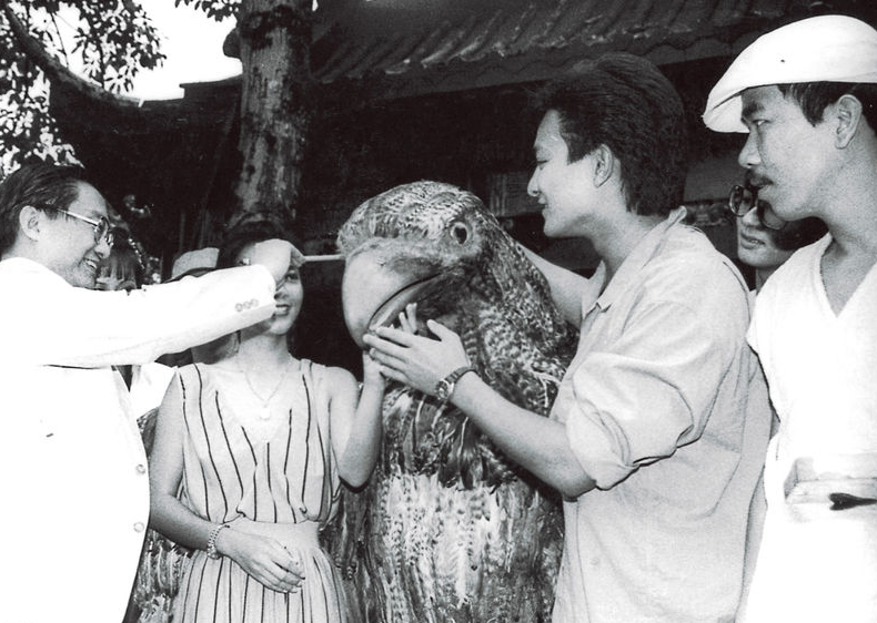 83版神雕侠侣：“杨过”戏假情真，“黄蓉”“尹