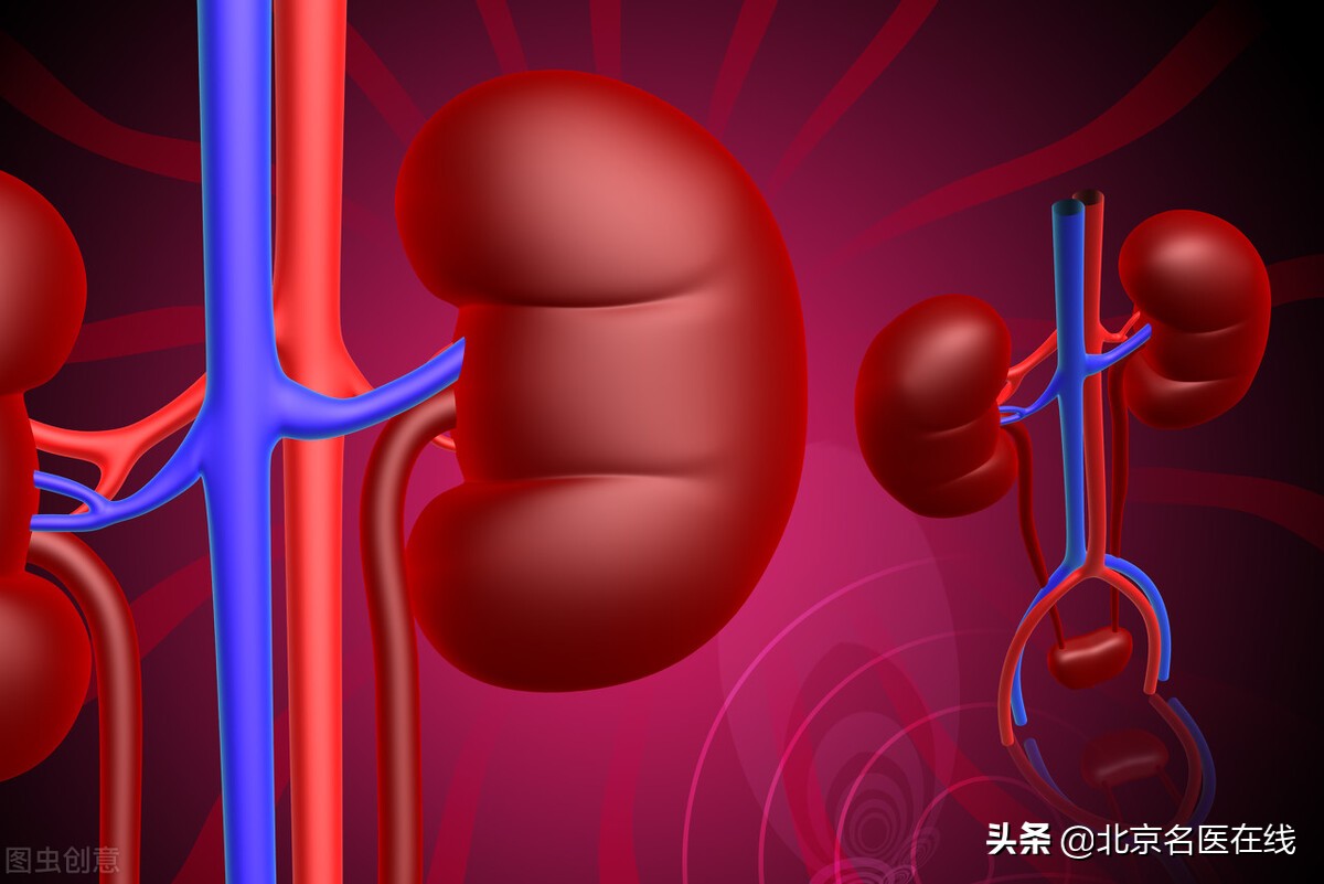 中医提醒：水蛭是降肌酐好手！可抑制肌酐升高，稳定肾功能