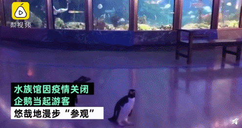 疫情未结束，另一场席卷70亿人的危机还在发生