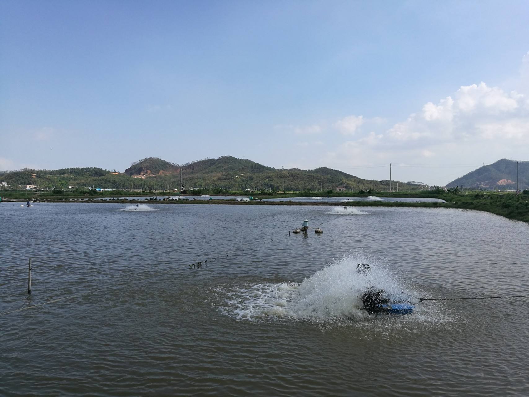 科学增氧与开机增氧（十八）原则，溶氧足水质就好鱼儿更好