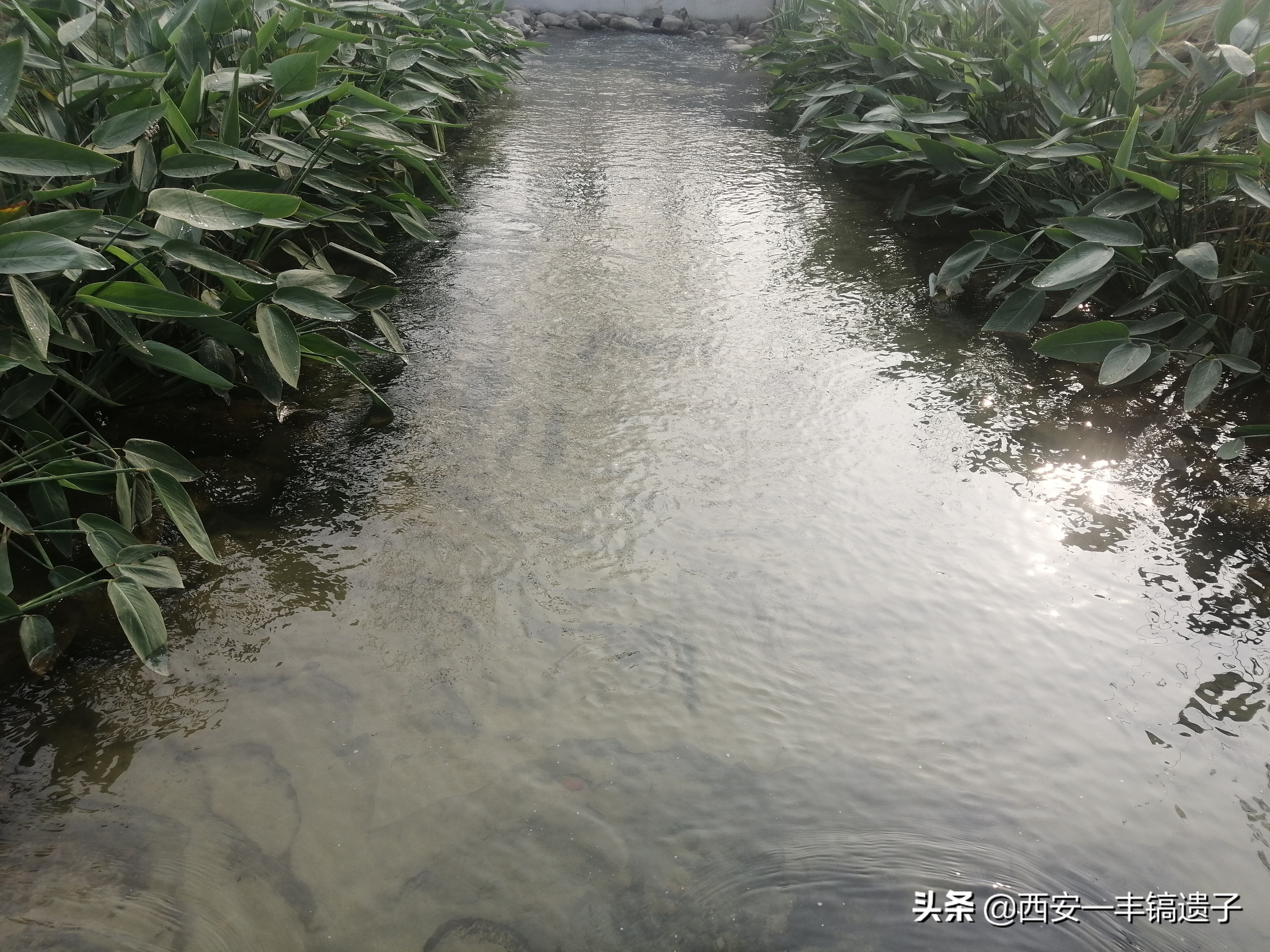 �������������������ӵ�ǰ������