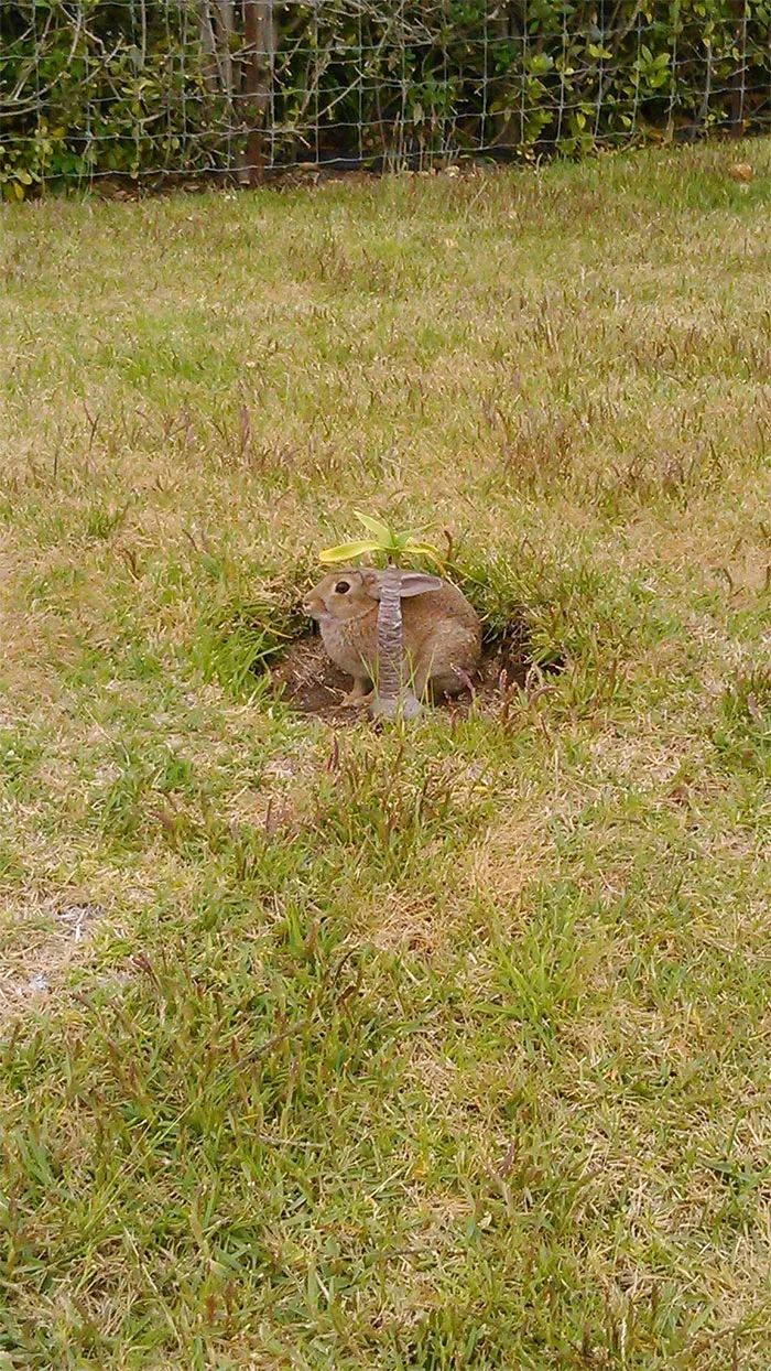 Atlas | Eider down takes the advantage that buys big drop, be clear at a glance with a ha is breathed out