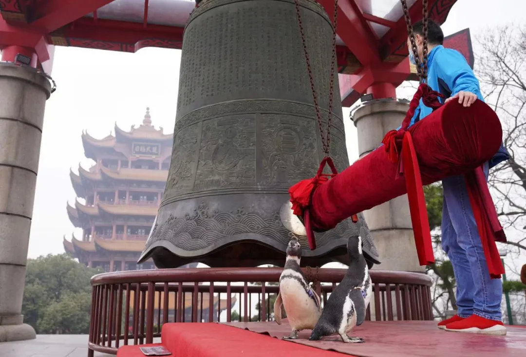 主题公园新春活动“国潮”味十足，喜迎牛年开门红