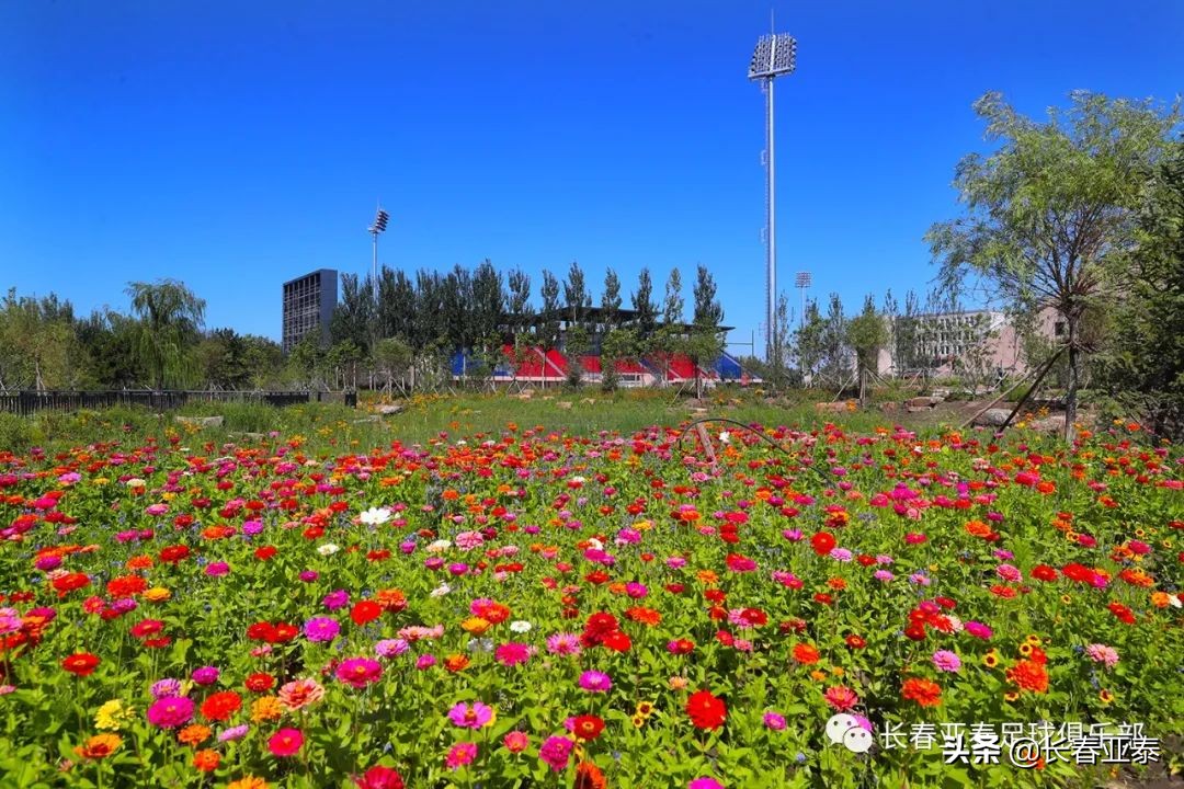 「图说亚泰基地·节气」处暑至 亚泰净月基地秋高气爽