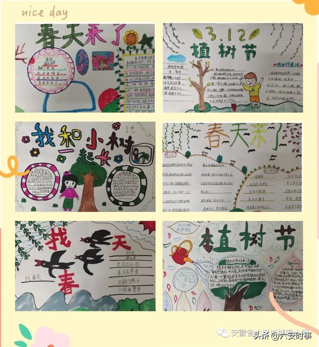 ӵ������ ������ɫ���������г���Сѧֲ���ڻ