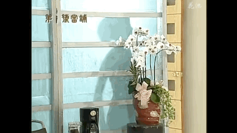 天心年轻时太美了，肩颈线好绝背还薄，和法国