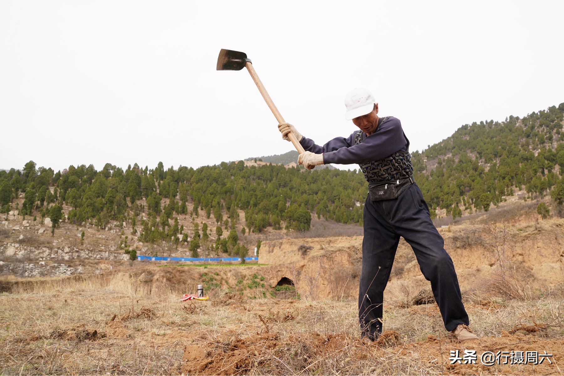 農(nóng)民大叔荒坡地只種不收，4年后有意外驚喜，笑言刨出“金疙瘩”