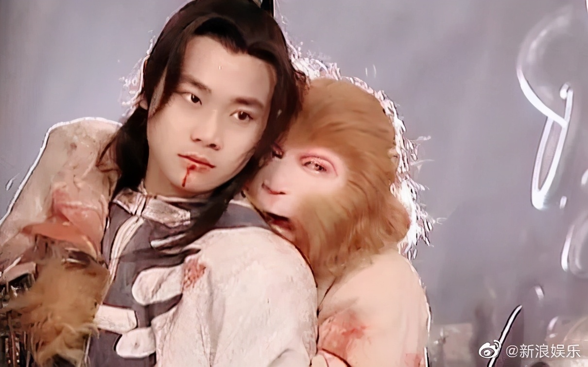 过气童星曹骏，你别挣扎了