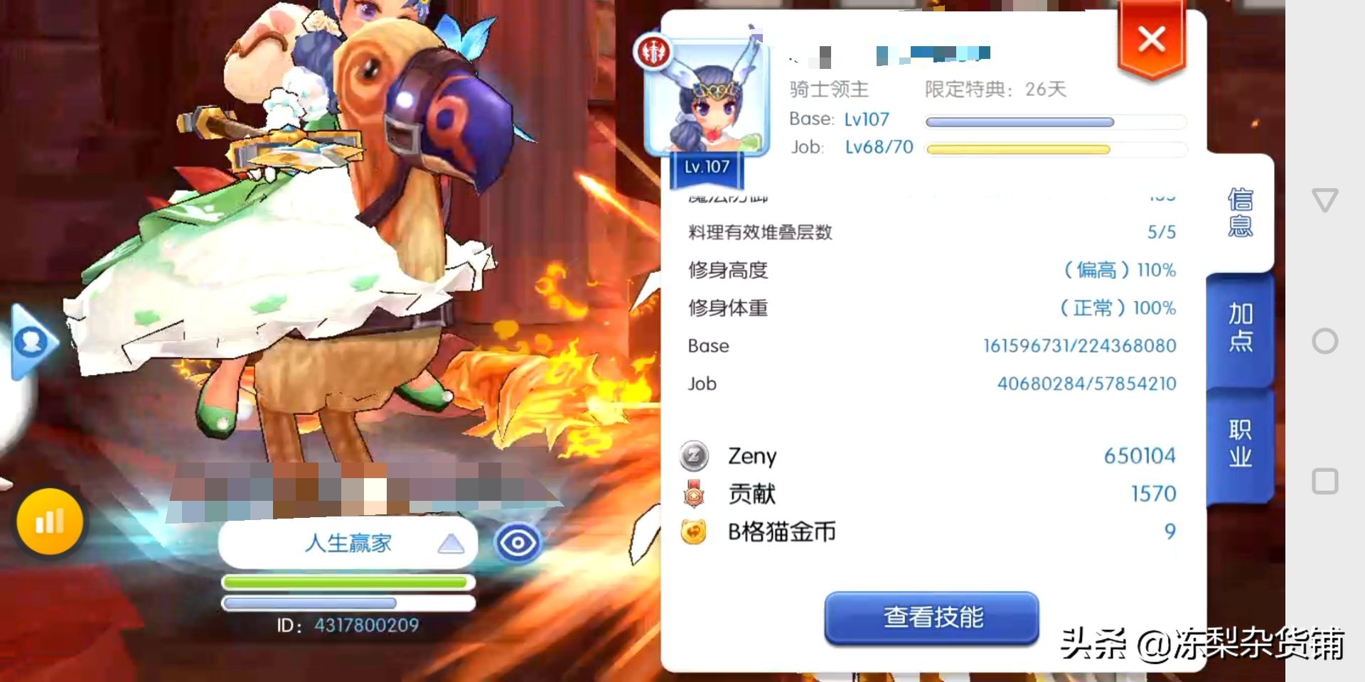 仙境傳說RO：萬字萌新入門攻略，領略經典魔法世界