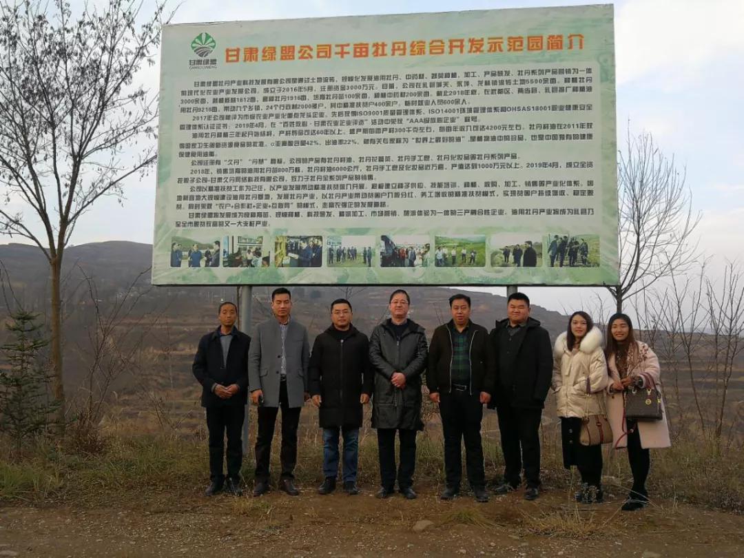 鼠姑网｜烟台自贸区副书记杨城一行莅临绿盟牡丹考察调研