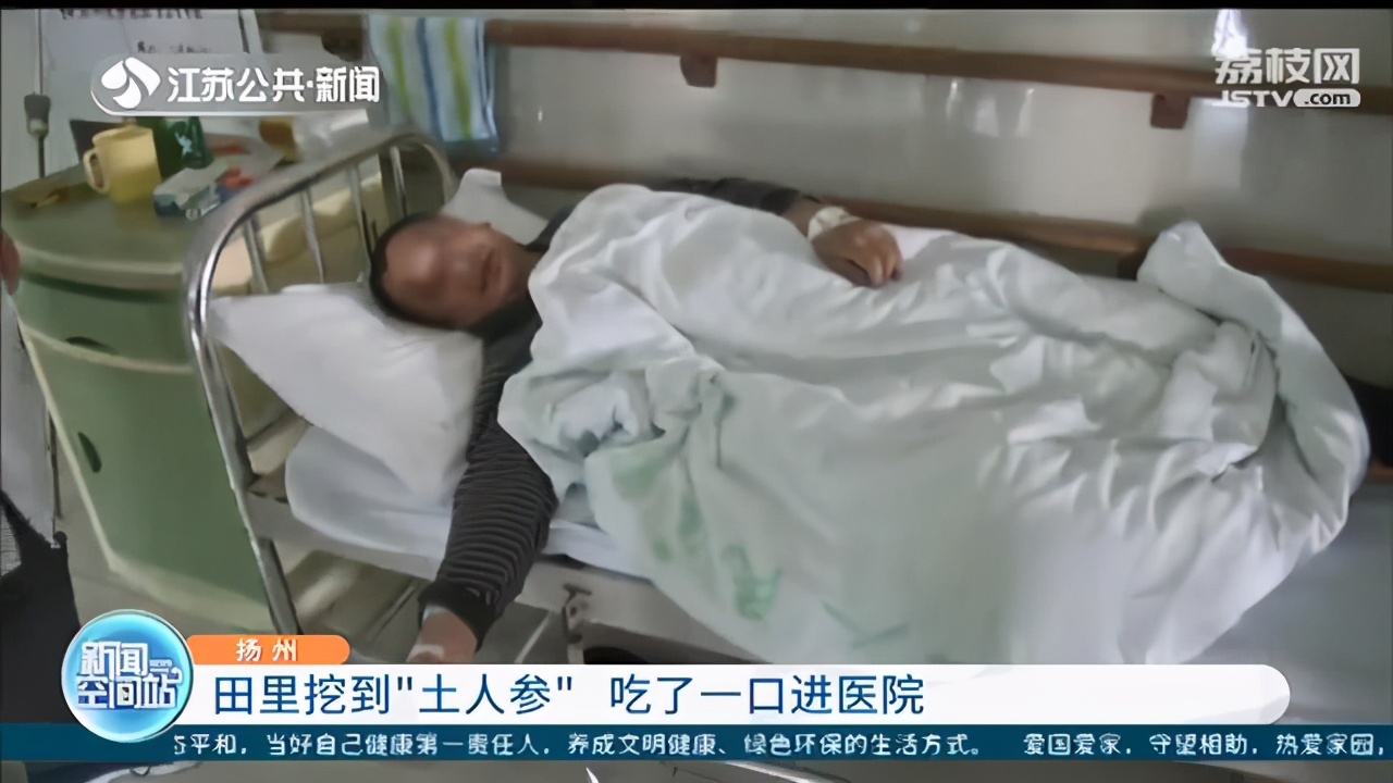 下地收红薯挖到&ldquo;人参&rdquo;没想到吃了一口就进了医院