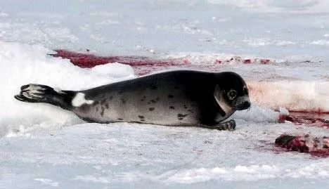 疫情未结束，另一场席卷70亿人的危机还在发生