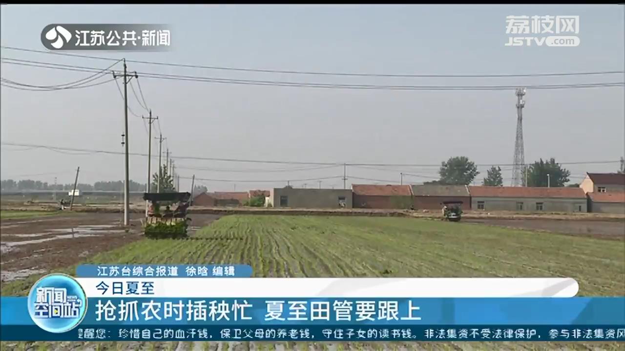 今日夏至！江苏本周天气持续晴好 暂时无高温出现