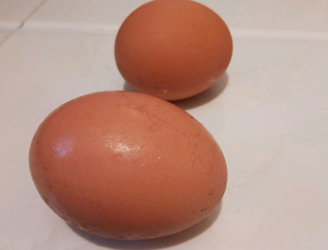 图片[2]-煮荷包蛋技巧 牢记1点鸡蛋圆滑鲜嫩不起沫-起舞食谱网