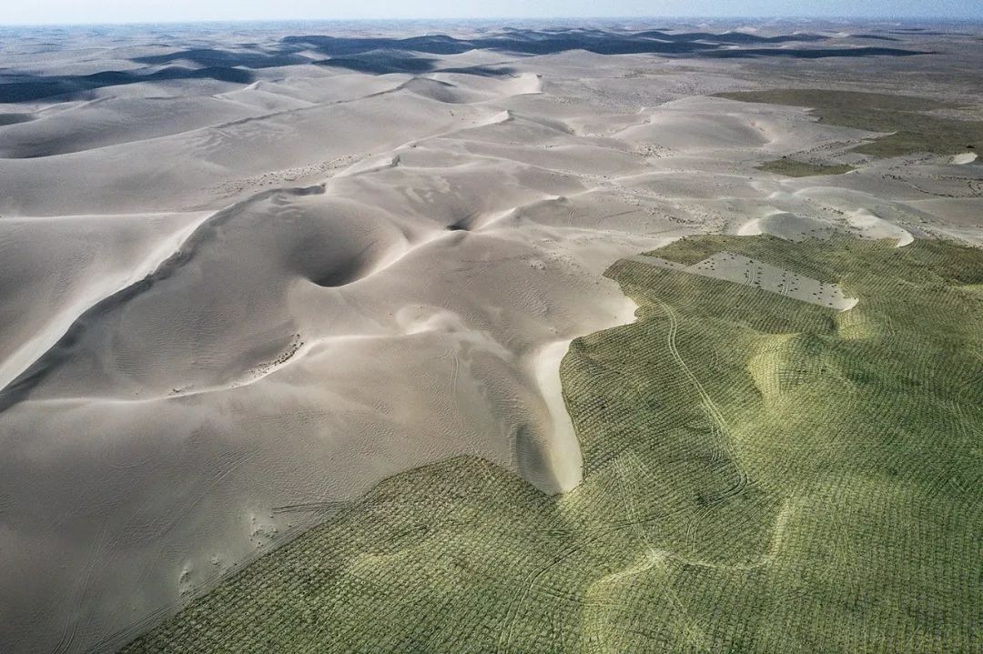 目标共在地球上种下了1亿棵树支付宝宣布蚂蚁森林用户数达5亿4月22日