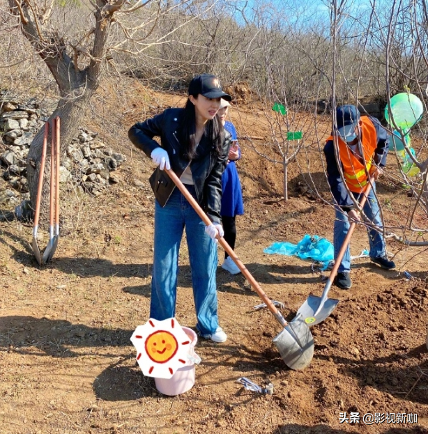 Dong Xuan takes child to enjoy spring! 4 years old of small dimple are planted the tree has a model to have kind, distinctive temperament goes out fully between forehead
