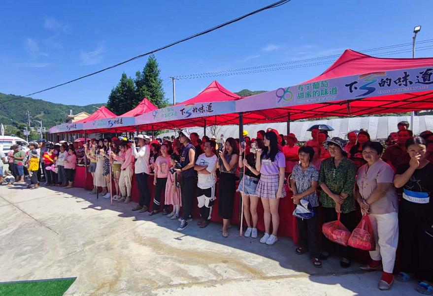 “寿宁葡萄，甜蜜的味道”2020年寿宁葡萄丰收节圆满举办成功