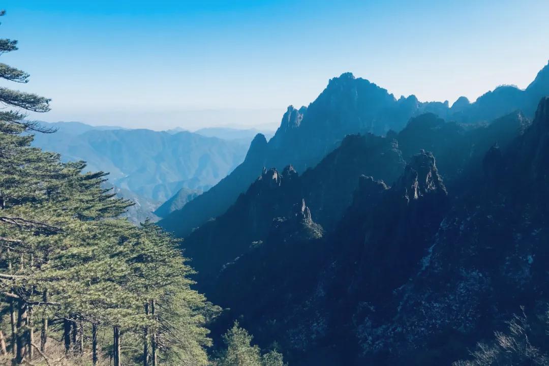 东学团建（上海校篇）|天気がいいから、登山しましょう