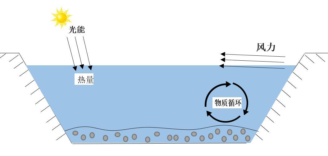 简析：水的分层和水层温差或水温分层