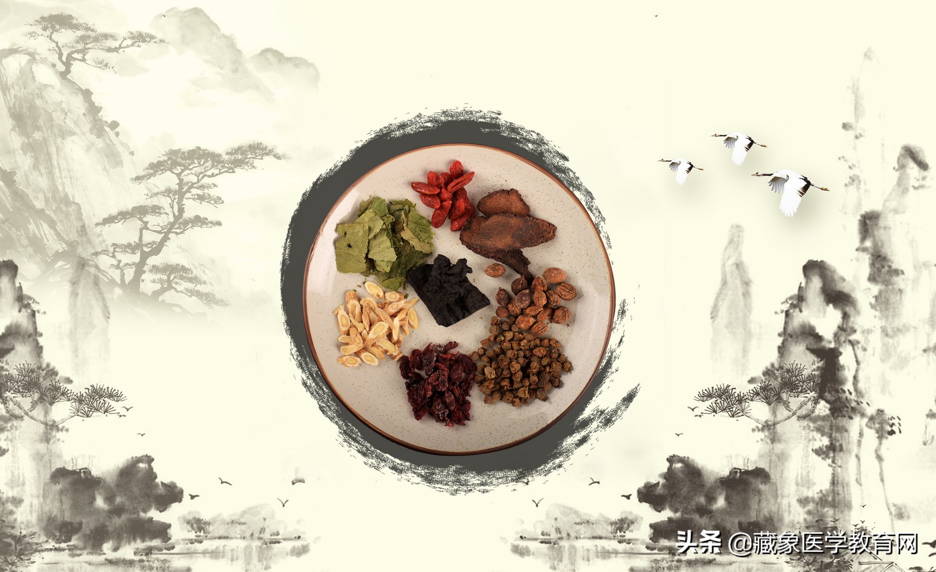 “中医不传之秘在剂量”论中医药方剂“中医不传之秘在剂量”
