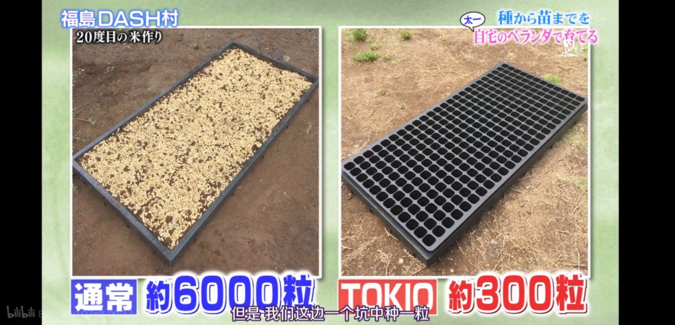 日本人，真会玩儿！这个日本综艺告诉你，如何