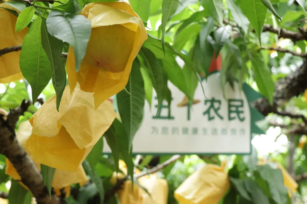 “共情”探索场景化消费,618上演“苏宁节奏”