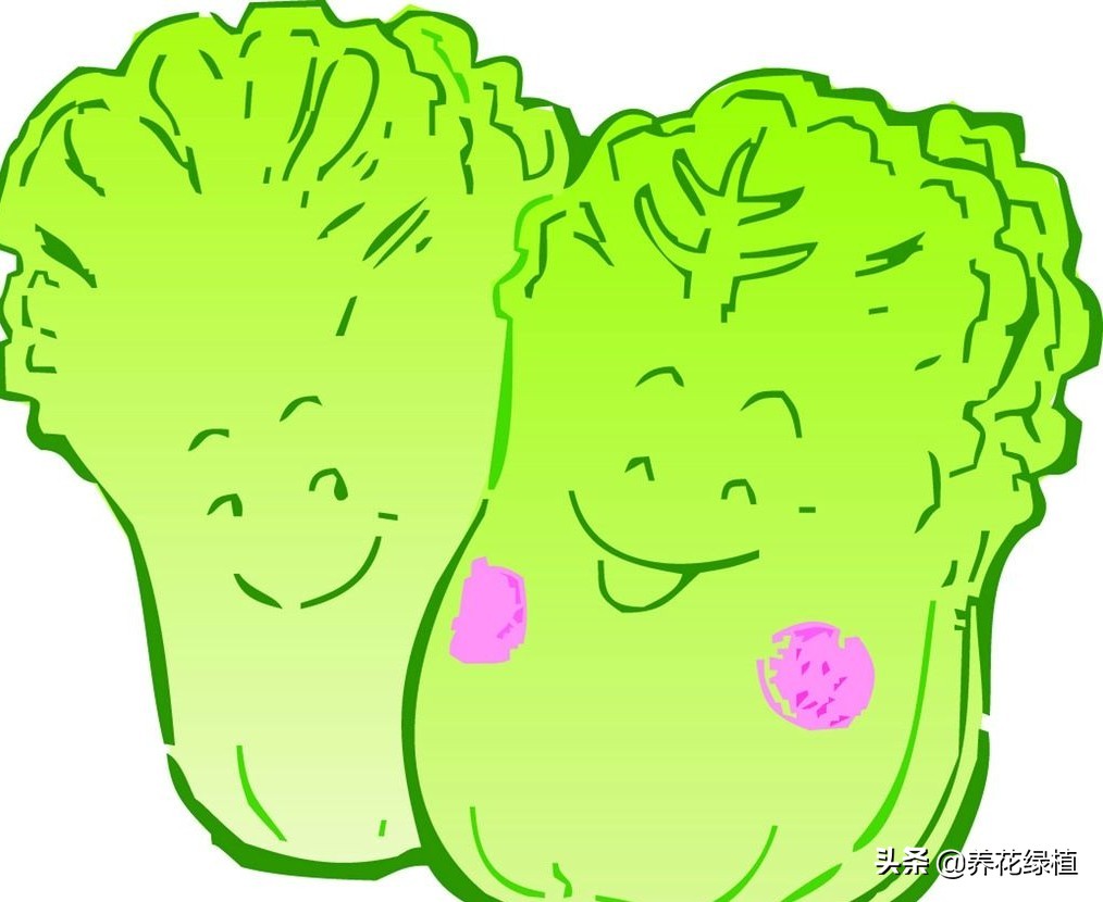 看有|元宵节到了 看看有哪些传统习俗寓意美好祈福纳祥