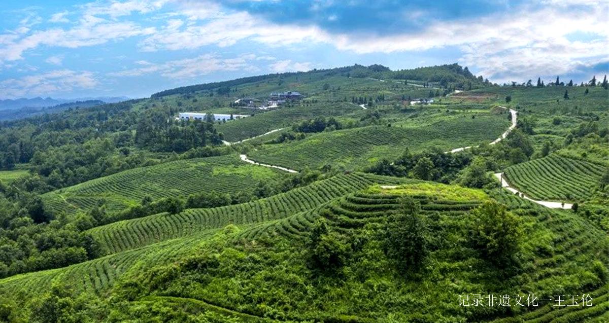 酒韵飘香 醉美源村