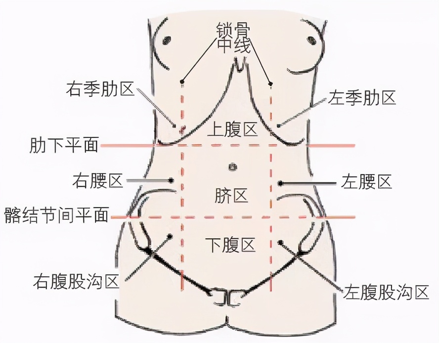 腹痛？送您一张“腹部地图”