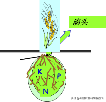 基于水肥一体化理论基础的水肥一体化分类标准的探讨