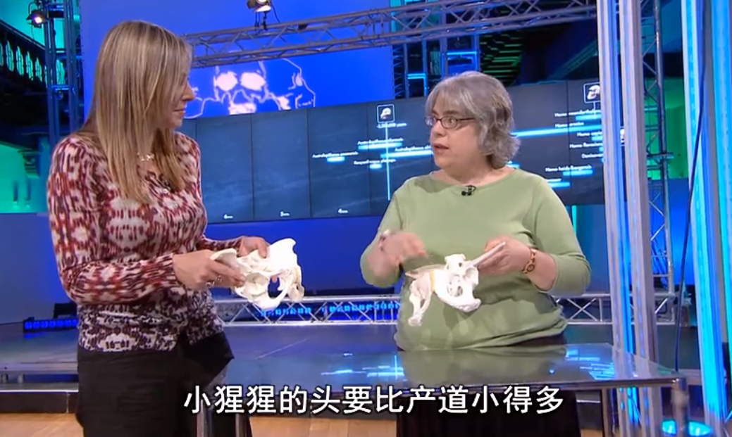 為什麽女人生孩子撕心裂肺，而動物生育後代那麽輕鬆？