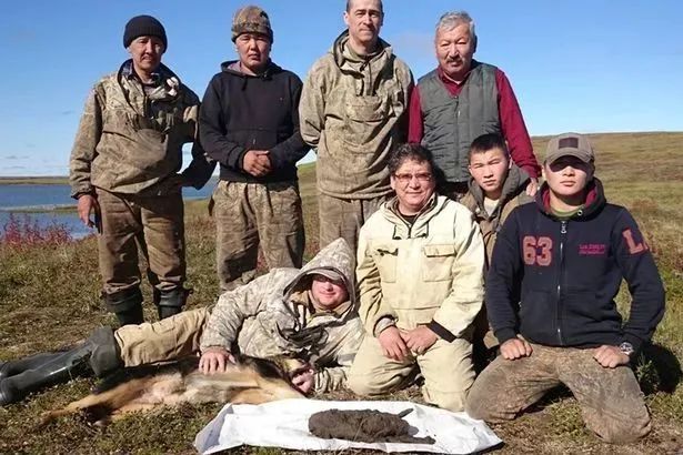 关于狗子的21个神奇冷知识，知道一半的都很了不起