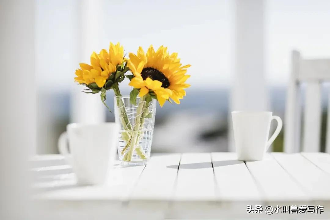 为什么我不建议你做小红书博主了？