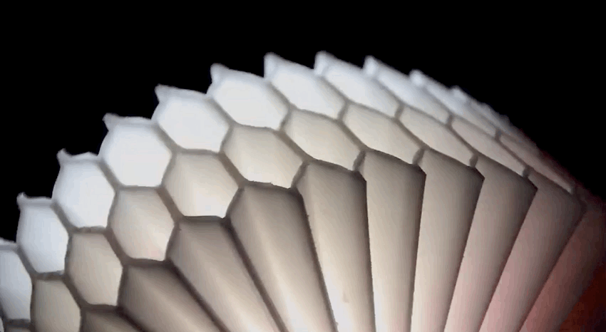 中科大打造“象鼻”机器人，开门、擦玻璃、给女朋友拧瓶盖的那种