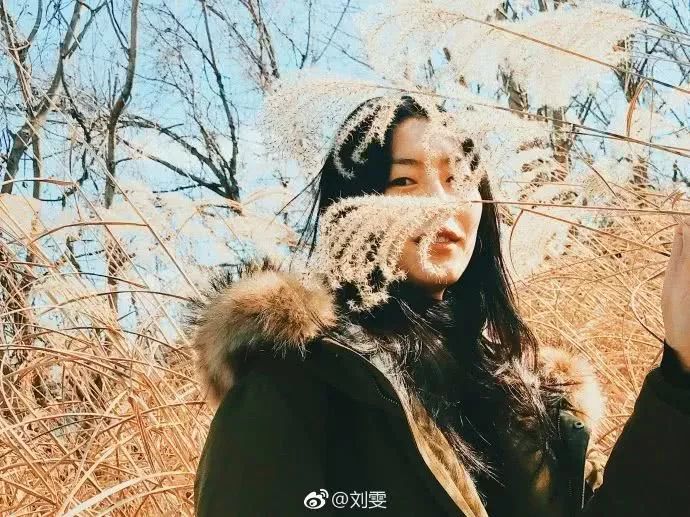 Original journey illuminates such patting, very good-looking really