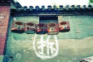 史上最大，人工智能算法模型GPT-3问世，这意味着什么？
