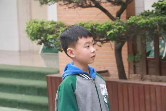 迷药草！喜易经！小少年要当大国医
