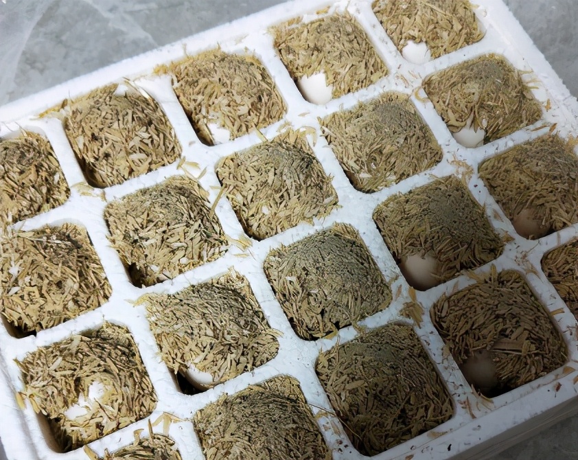 鸡蛋别放冰箱保存！教你4个小妙招，保存几个月没问题，简单实用