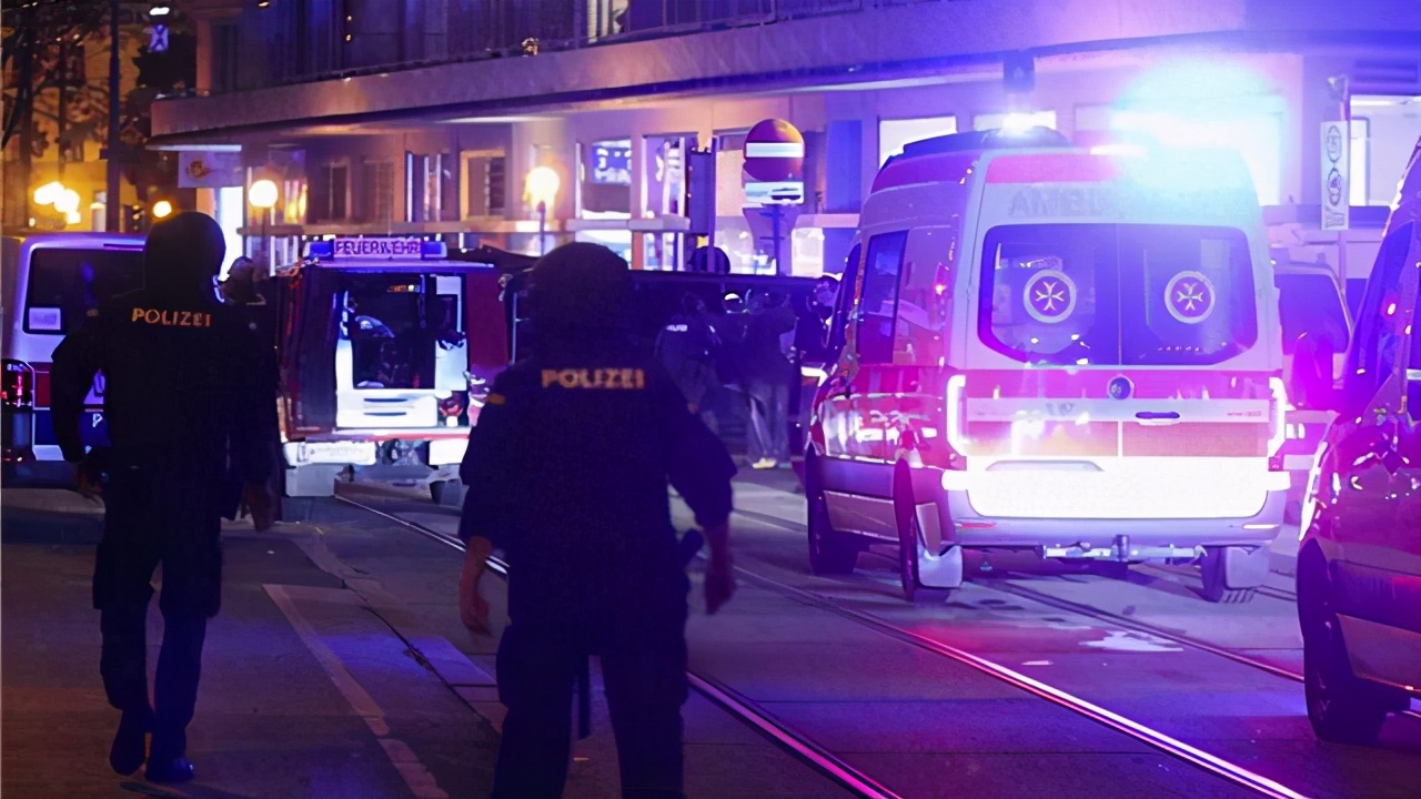 维也纳恐袭震惊欧洲！法国等欧盟成员紧急发声：决不屈服