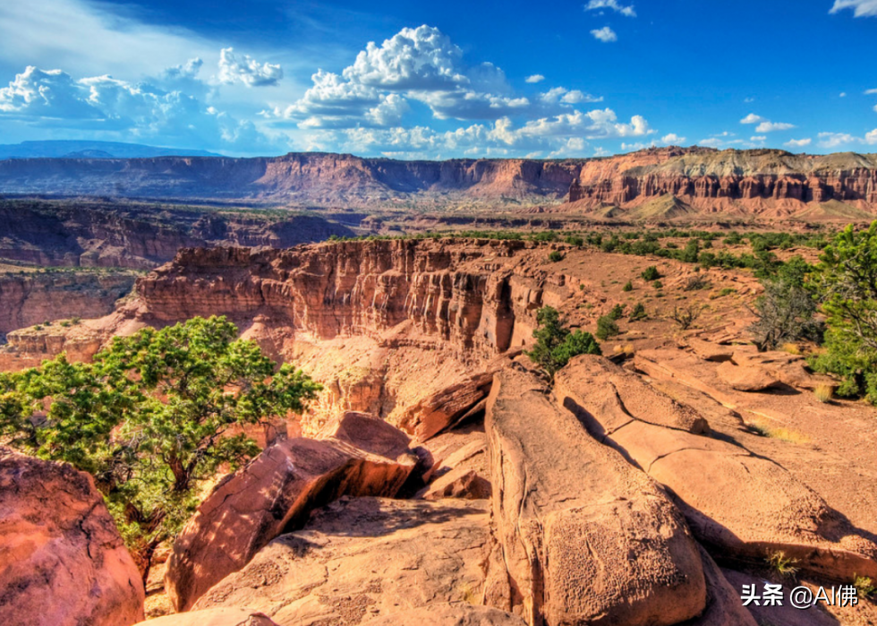 美国最受欢迎的50个国家公园